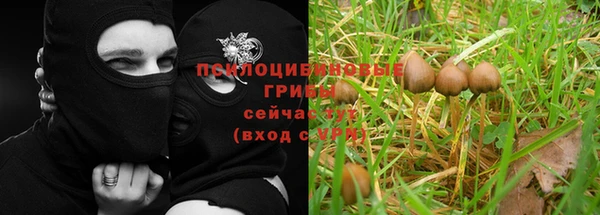 амфетамин Богородицк